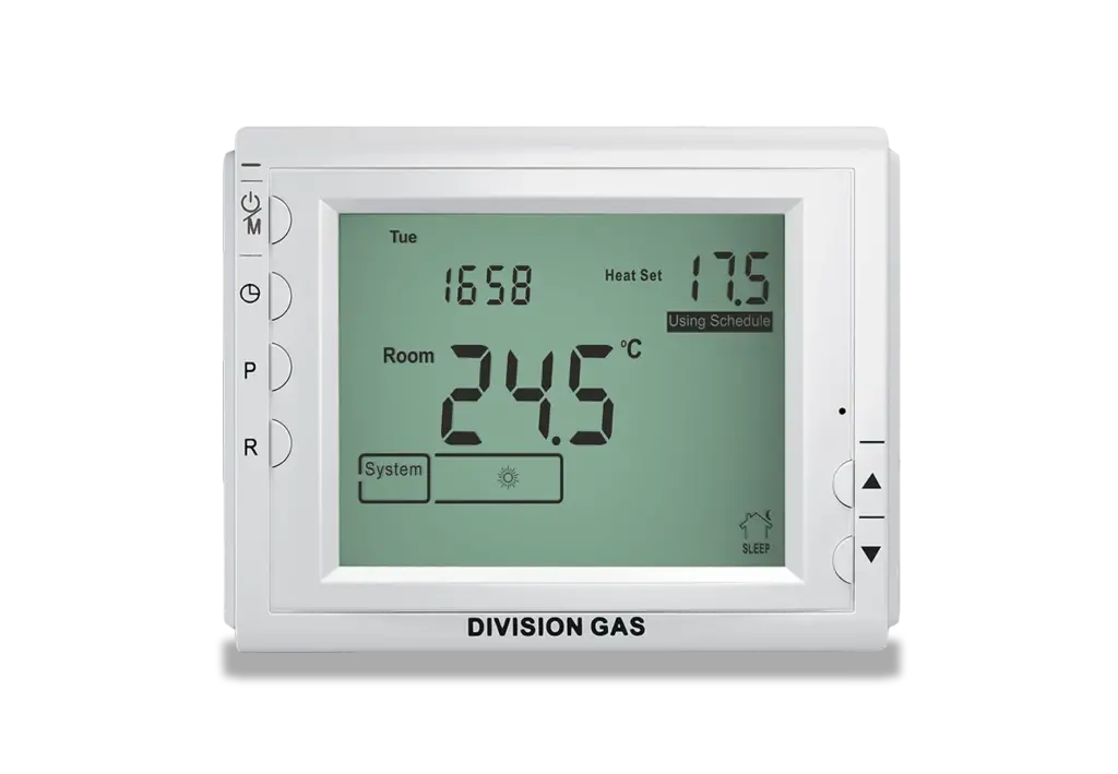 Termostat ambiental programabil DG909RF see frontala perete