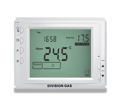 Programmable room thermostat DG909 front view