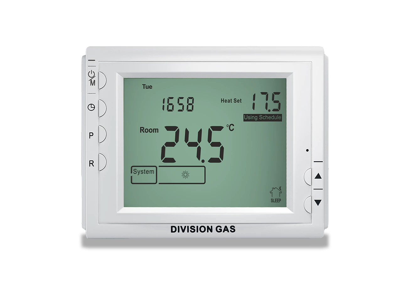 Programmable room thermostat DG909 front view