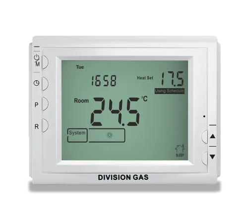 Termostat ambiental programabil DG909RF see frontala perete