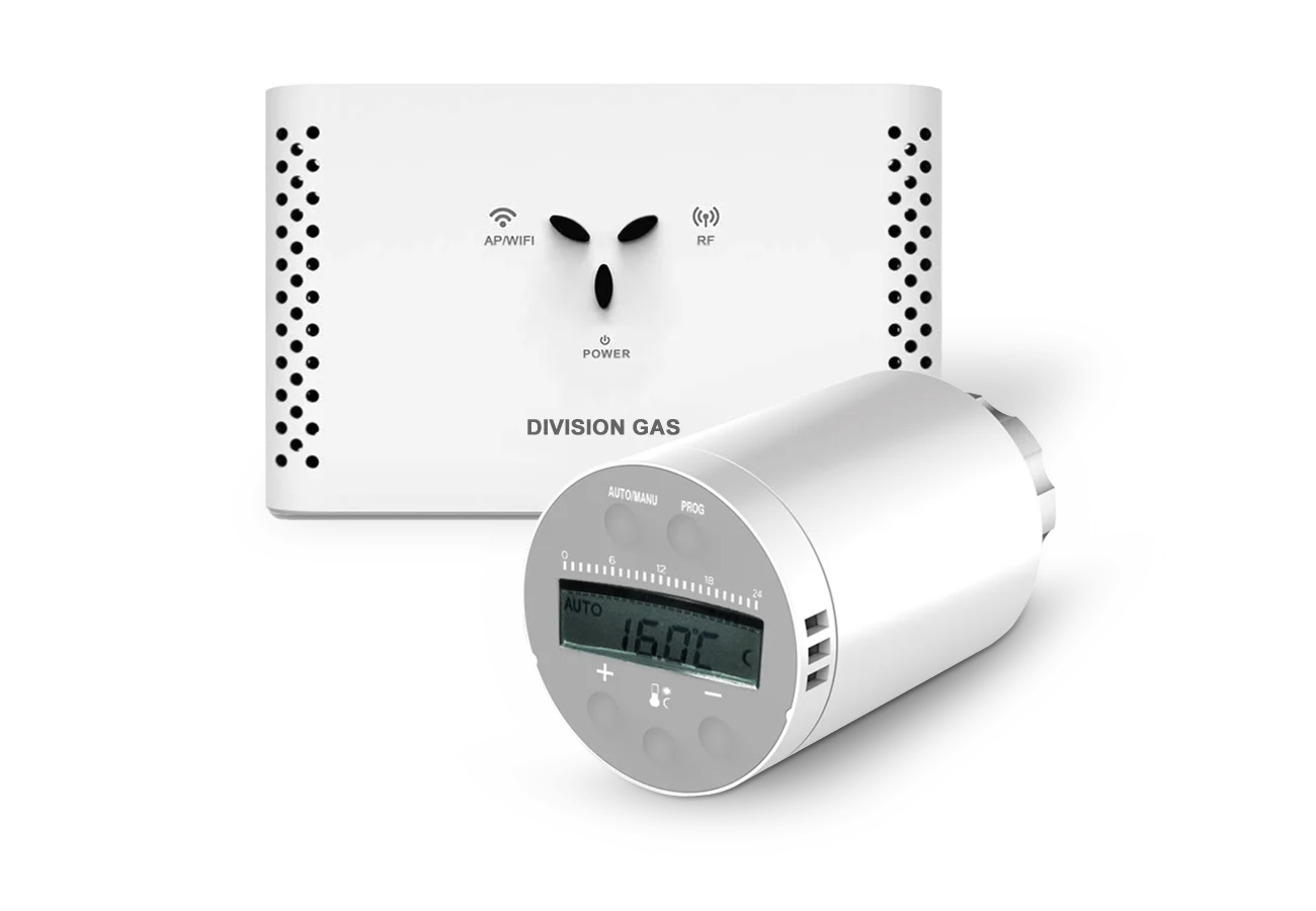 DG801 with compatible DGWG control unit